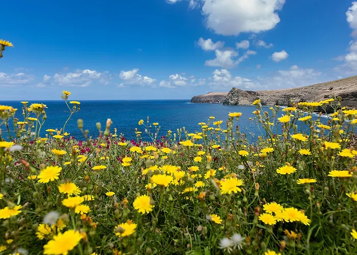 Occidental Roca Negra - Adults Only 4* Agaete (Gran Canaria)